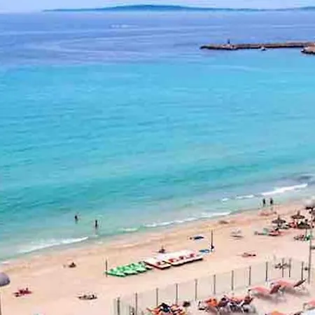 Holiday Carrer Savina *
